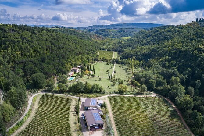Wine Tasting by CarusVini in San Casciano in val di Pesa - San Casciano in Val di Pesa: why this wine tasting feels more personal