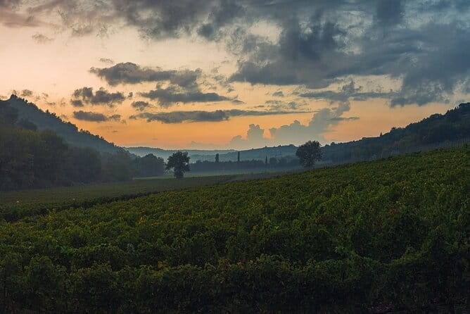 Wine Tasting by CarusVini in San Casciano in val di Pesa - Getting there: Via di Perseto meeting point and a tight 1-hour plan