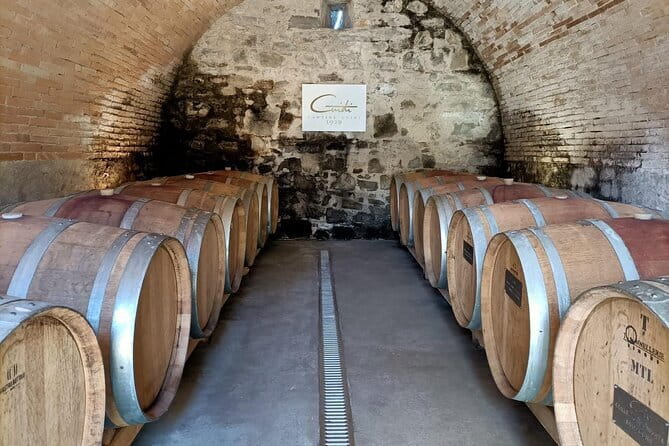 Wine Tasting Experience in Ponte Vecchio: Best Tuscany selection! - Your Tasting Kit and Flavour Manual (How You Learn Like a Pro)