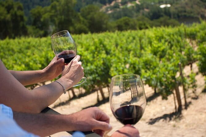 Wine tasting in TWO family wineries around Florence - Key highlights from this Florence-to-Chianti wine day
