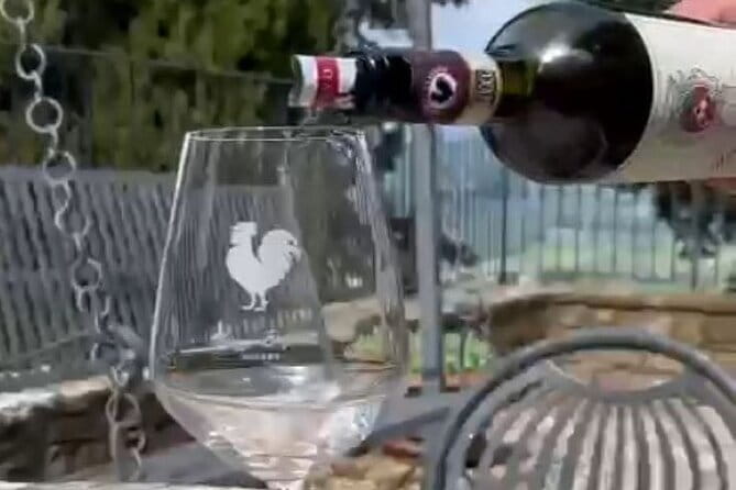 Wine tasting in TWO family wineries around Florence - Montefioralle: a family winery tasting with medieval-village atmosphere