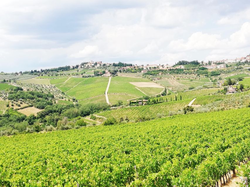 Wine Tour in Open Top Van - Greve in Chianti: a real break between wineries