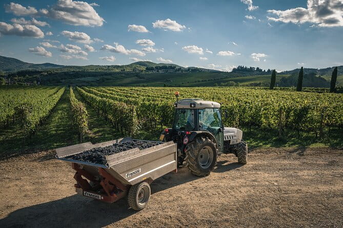 Wineries Tour and Wine Tastings in Chianti Hills from Florence - Strada Statale 222 Chiantigiana: your first wine-and-snack introduction