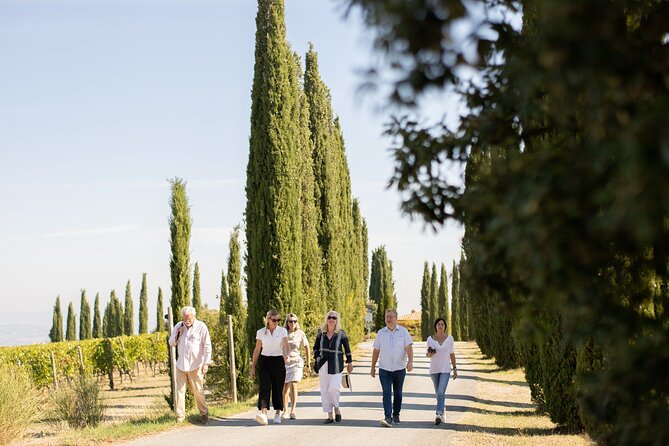 Winery Tour & Gourmet Tasting in Montalcino - Entering Corte Pavone: what the day is really about