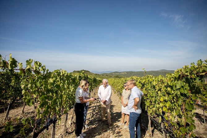 Winery Tour & Gourmet Tasting in Montalcino - The tasting room setup: 6 wines, 3 flights, paired with gourmet bites