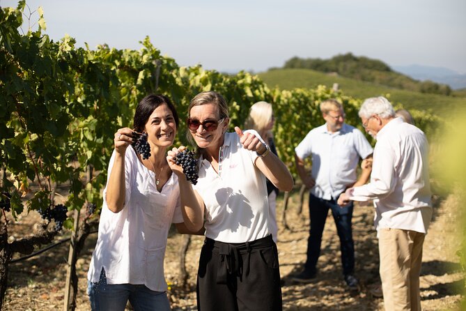 Winery Tour & Gourmet Tasting in Montalcino - Price and logistics: what you’re paying for (and what to double-check)