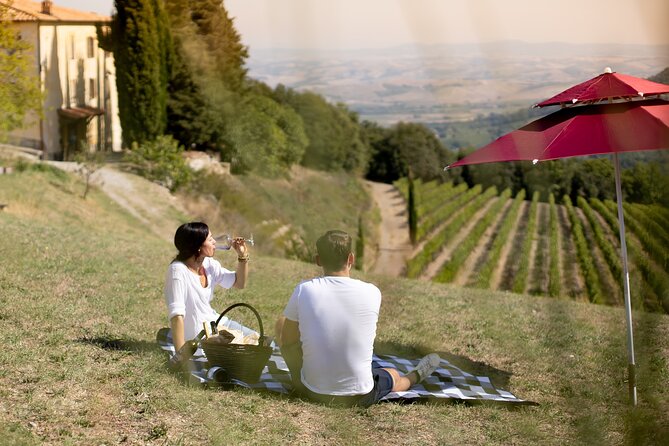 Winery Tour & picnic in the vineyard with a bottle of wine - Corte Pavone Winery and why this feels like value