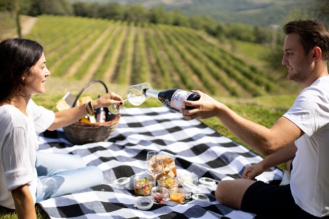 Winery Tour & picnic in the vineyard with a bottle of wine - Mobile ticket and English: easy planning, fewer headaches