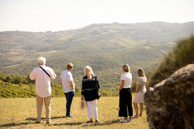Winery tour & wine tasting in Montalcino - Vineyard start: Brunello Cru path, terroirs, and Val d’Orcia views