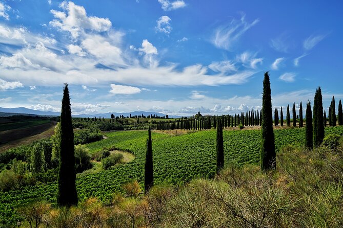 Winery tour & wine tasting in Montalcino - The tasting: 6 wines, 3 flights, and 4 ways to choose