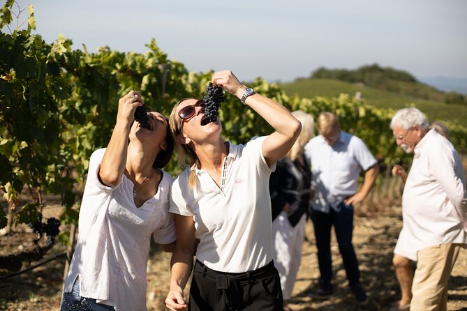 Winery tour & wine tasting in Montalcino - Timing, group size, and how to make it enjoyable