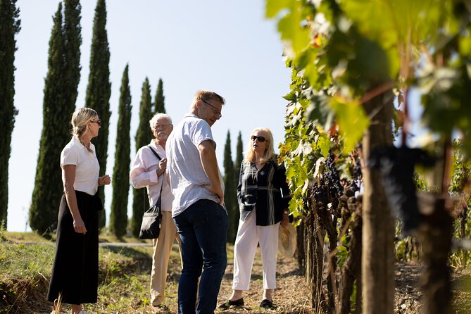 Winery tour & wine tasting in Montalcino - What to ask during the walk (so the tasting makes sense)