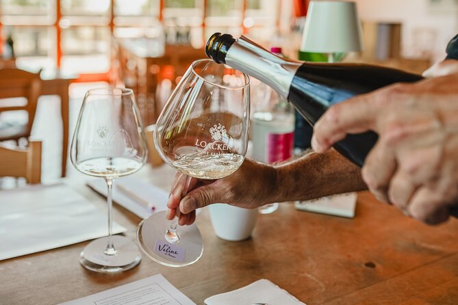 Winery tour & wine tasting in Montalcino - Inside the winery: grape processing and a cross-vaulted cellar