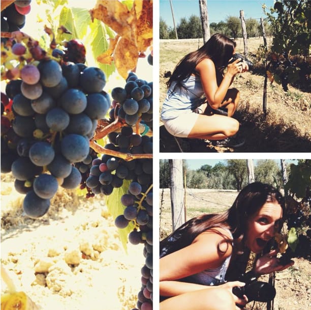 YOUR HONEYMOON IN TUSCANY: Private Chianti Wine Tasting Tour - Key things I’d circle before you go