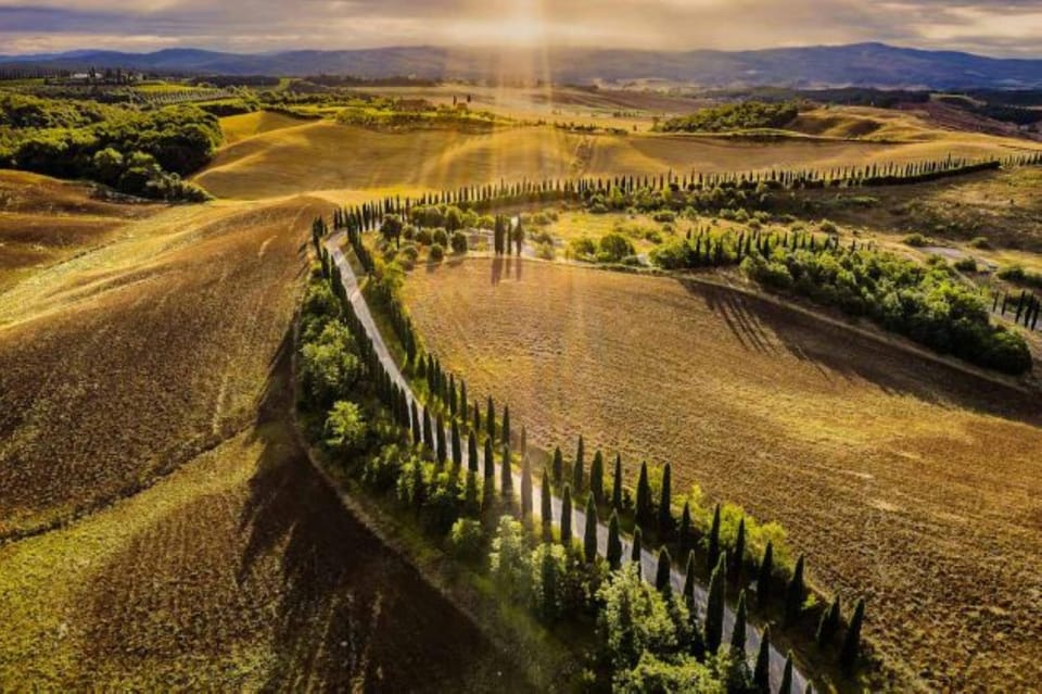 YOUR HONEYMOON IN TUSCANY: Private Chianti Wine Tasting Tour - Wine tasting for people who aren’t wine pros